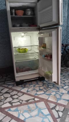 fridge full size