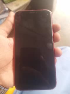 I Phone 11. Jv
