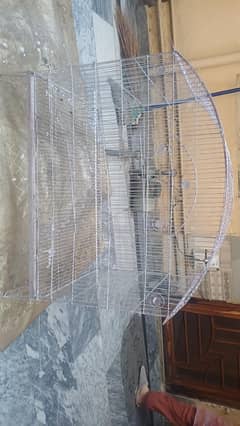 birds Cage