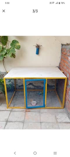 birds cage for sale