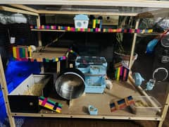 Hamster cage 3x2x3 feet Huge size 3 floor