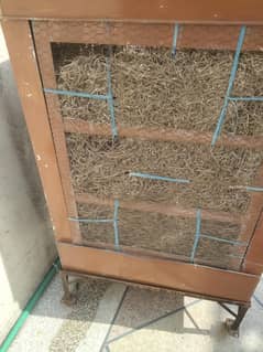 Air Cooler