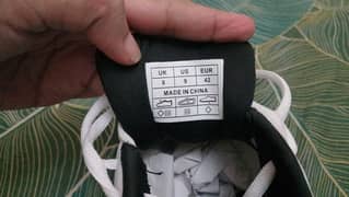 Cricket sports shoes branded