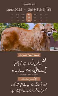 qurbani k lye qasai available h
