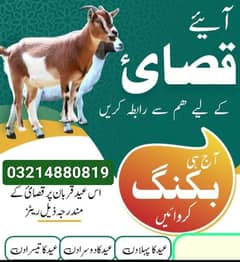 Qasai service lahore