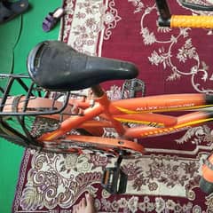 excellent cycle with good condition
