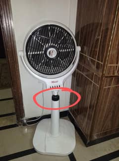 belvin pedestal Fan