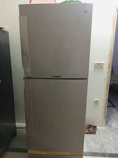 PEL fridge large size