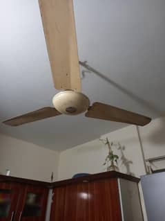 celling
