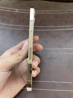 iPhone 12 Pro Max golden colour 128 gb jv