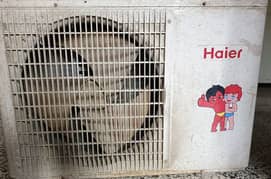 Haier
