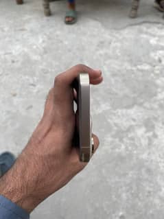 iPhone 14pro max