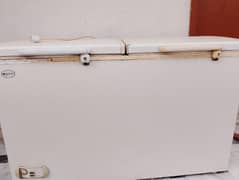 Waves Double door deep freezer
