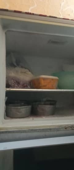 Dawnlance frige