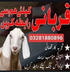Qasai service lahore