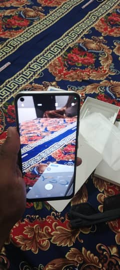 vivo