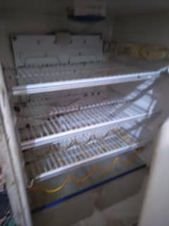 DOWLANCE FRIDGE