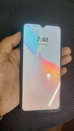 vivo