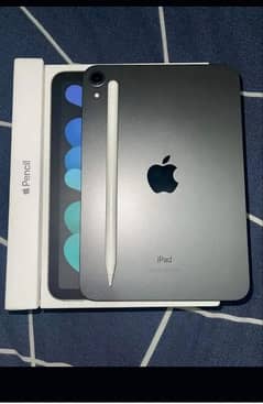 i pad mini 6
