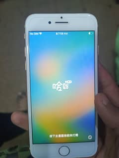 iphone 8    64 GB    non PTA    WA 03226265682