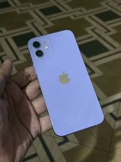 Iphone 12 Sale Water Pack 100person Guarantied