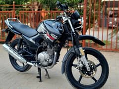 Yamaha YBR 125G 2017 Black OutStanding Condition 0*3*3*4*2*0*7*7*8*5*3