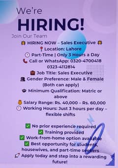 sales executive