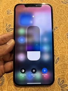 Almost new PTA 12 Pro Max 256 GB