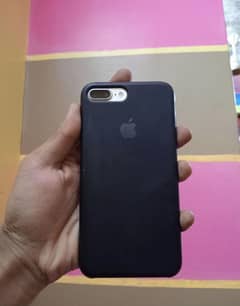 7plus approve