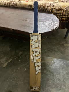 cricket bat