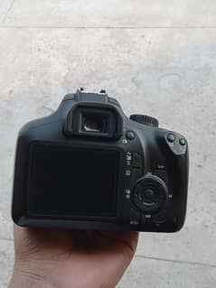 CANON 4000D LASH CONDITION