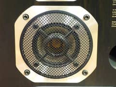 Pioneer Private speakers 160 watt