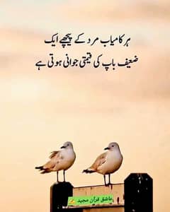 Qasai available