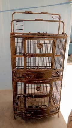 imported pinjra