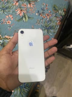 iPhone xr pta approve