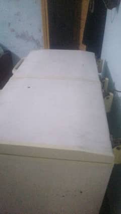 bilkol OK ha condition 10.8 ha 03115254521