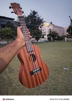 ukelele guitar