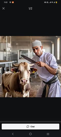 cow goat qurbani  service available