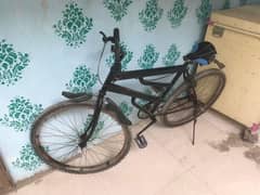 Bicycle