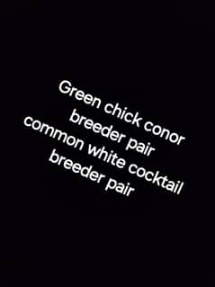Green chick conor &Common white cocktail
