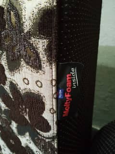 Molty Sofa cum bed for sale