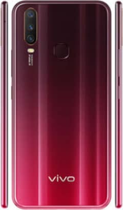 Vivo
