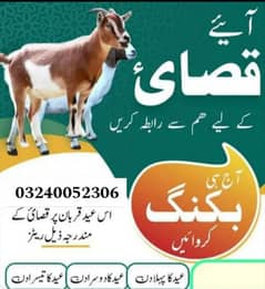 professional qasai available