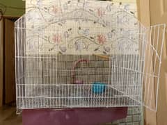 birds cage