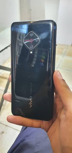 vivo