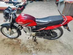 Yamaha yb 125z 2019 exchange possible