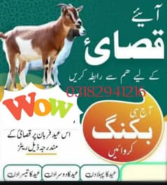 qasi