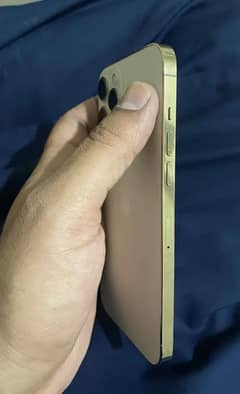 iPhone 12 Pro Max pta approved