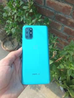 OnePlus 8T PTA proved