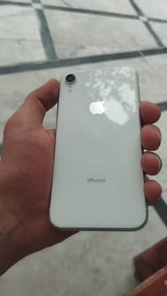 iPhone XR